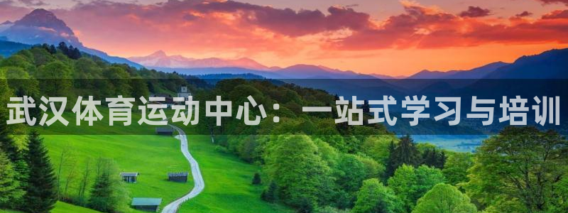 欧亿体育官方正版app集团简介