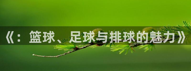 oety欧亿体育官网下载平台：《：篮球、足球与排球的