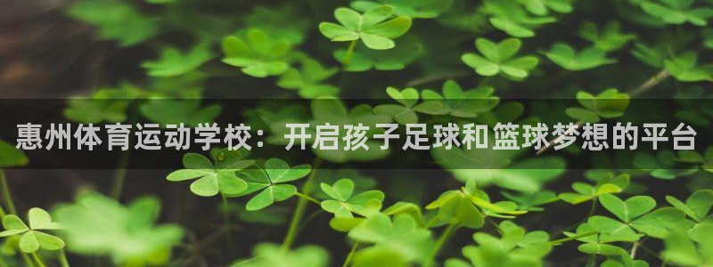 oety欧亿体育官网下载平台假的吗是真的吗：惠州体育运动学校