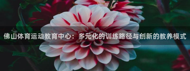欧亿体育官方正版app娱乐下载
