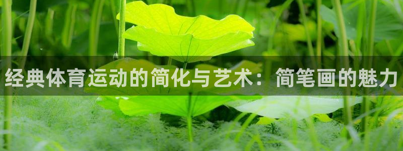 欧亿体育官方正版app官网：经典体育运动的简化与艺术：简笔画