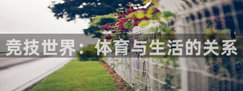 oety欧亿体育官网下载平台是正规平台吗：竞技世界：体育与生