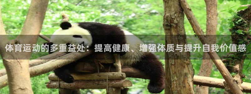 oety欧亿体育官网下载平台是正规平台吗：体育运动的多重益处