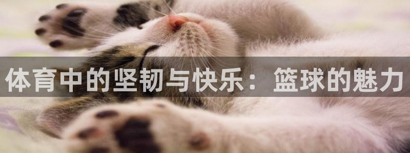 欧亿体育官方正版app集团：体育中的坚韧与快乐：篮球的魅力