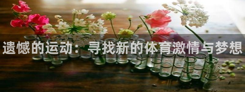 oety欧亿体育官网下载平台假的吗是真的吗：遗憾的运动：寻找