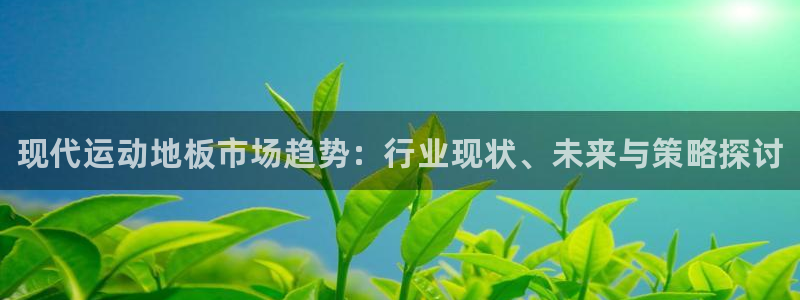 海南oety欧亿体育官网下载发展怎么样：现代运动地板