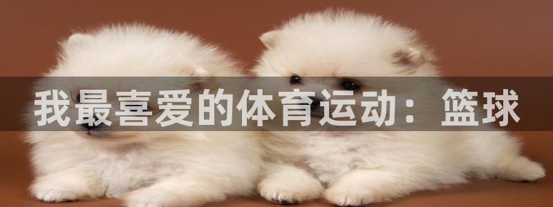 oety欧亿体育官网下载平台注册流程视频：我最喜爱的体育运动