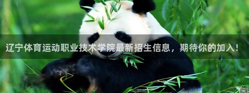 oety欧亿体育官网下载招商电话地址：辽宁体育运动职业技术学
