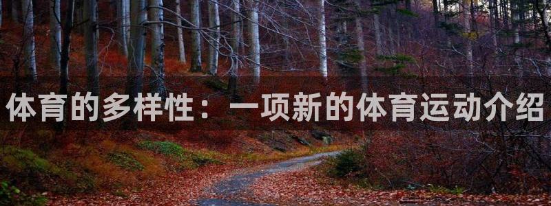 oety欧亿体育官网下载平台是正规平台吗：体育的多样性：一项