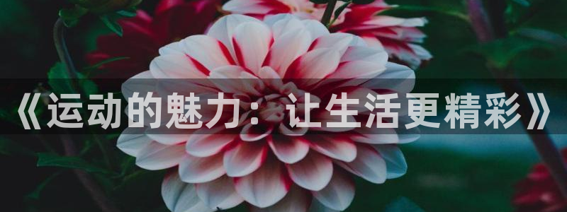 oety欧亿体育官网下载：《运动的魅力：让生活更精彩》