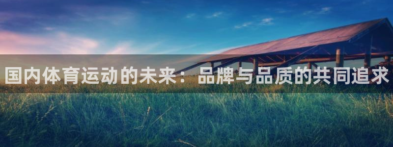 欧亿体育官方正版app娱乐40996：国内体育运动的未来：品