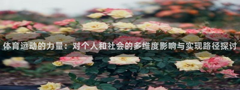 欧亿体育官方正版app娱乐首页官网下载：体育运动的力量：对个