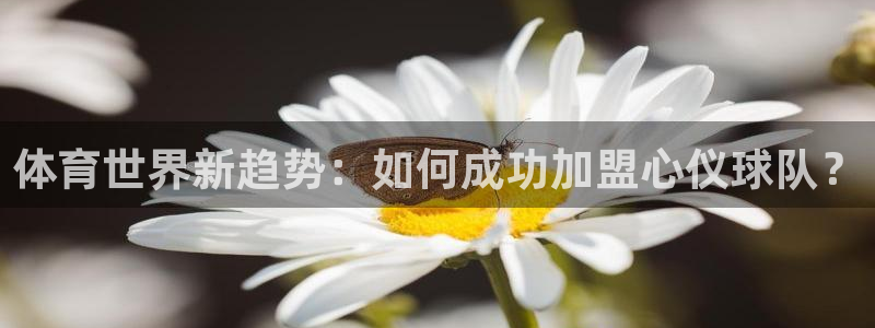 海南oety欧亿体育官网下载发展怎么样：体育世界新趋势：如何