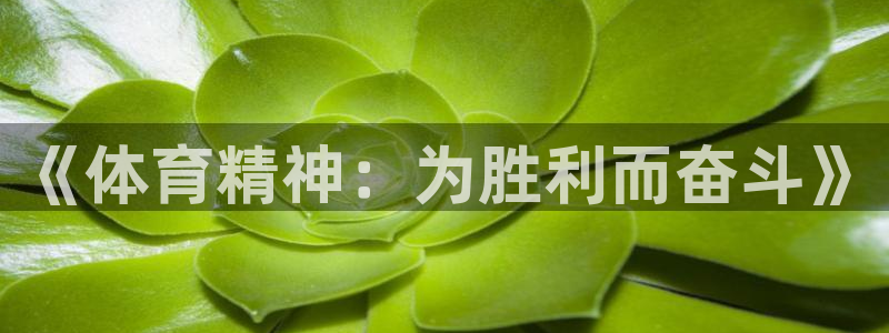 oety欧亿体育官网下载招商电话号码