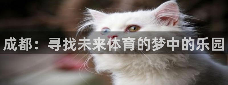 oety欧亿体育官网下载平台APP