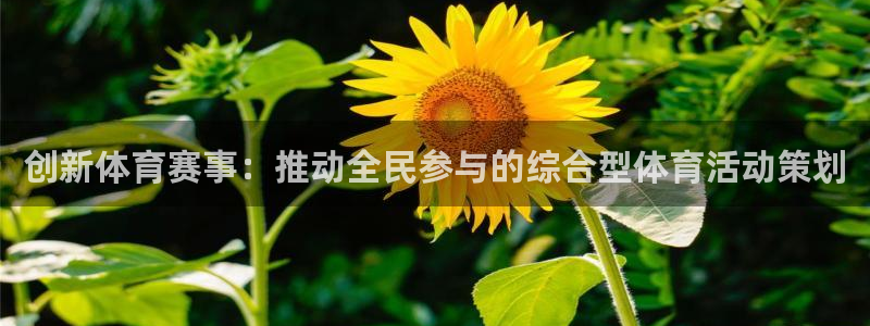 oety欧亿体育官网下载平台假的吗是真的吗吗：创新体育赛事：