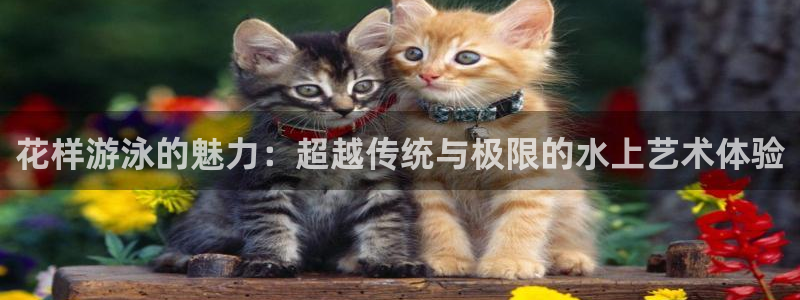 欧亿体育官方正版app官网
