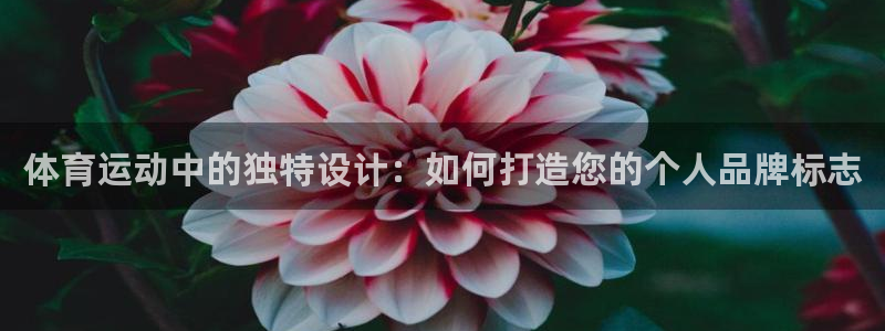 oety欧亿体育官网下载娱乐：体育运动中的独特设计：如何打造