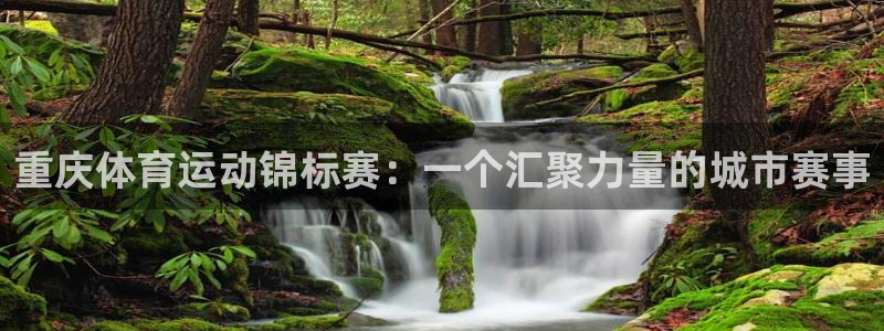 oety欧亿体育官网下载平台：重庆体育运动锦标赛：一个汇聚力