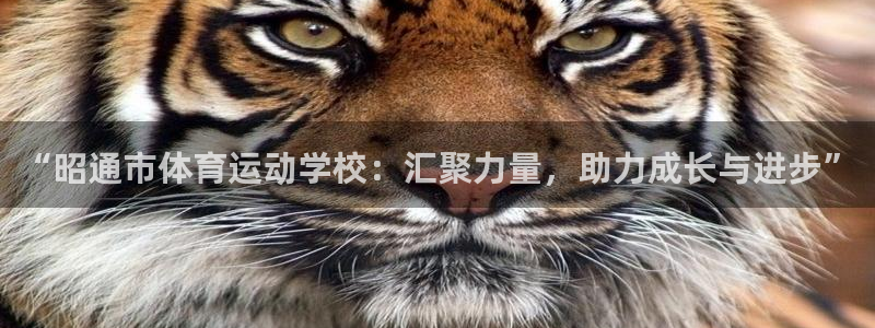 欧亿体育官方正版app开户：“昭通市体育运动学校：汇聚力量，