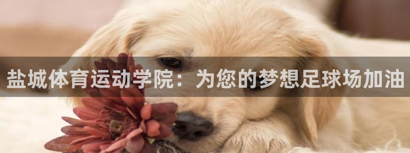 oety欧亿体育官网下载平台是正规平台吗安全吗：盐城体育运动