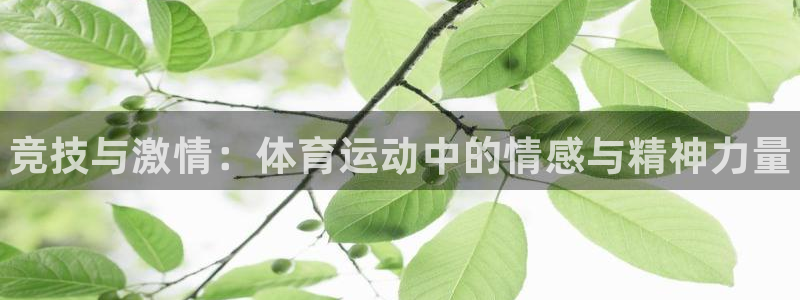 oety欧亿体育官网下载娱乐：竞技与激情：体育运动中