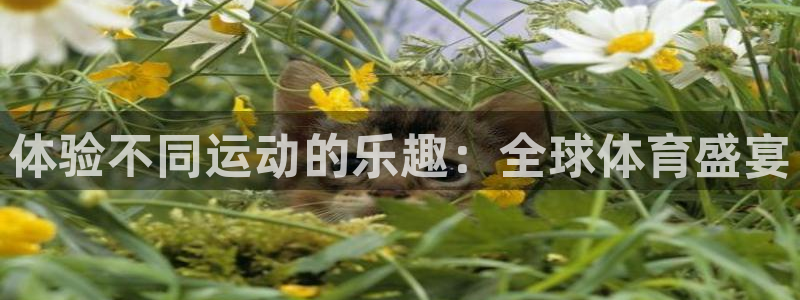 oety欧亿体育官网下载招商电话地址查询：体验不同运