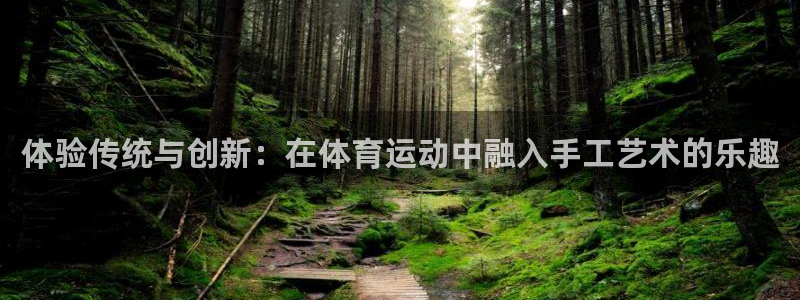 oety欧亿体育官网下载是干嘛的公司：体验传统与创新