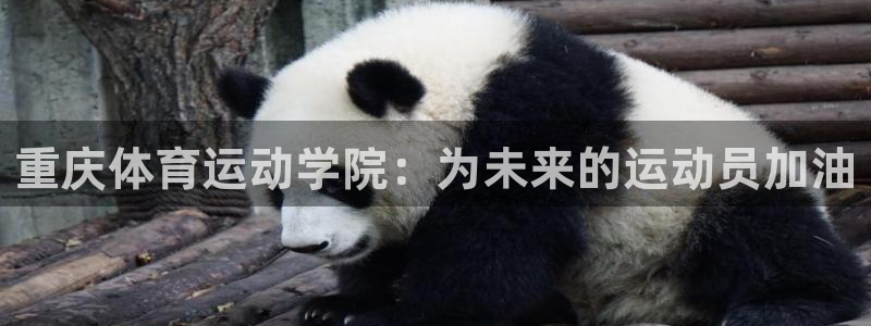 欧亿体育官方正版app娱乐首页官网下载：重庆体育运动学院：为