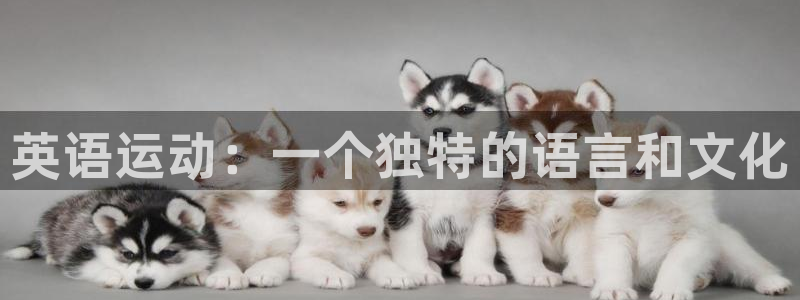 oety欧亿体育官网下载招商电话号码是多少