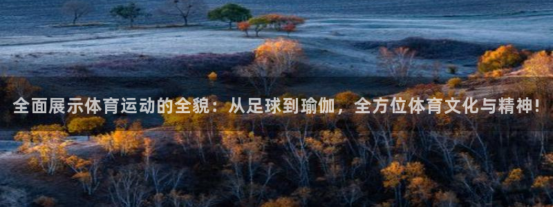 oety欧亿体育官网下载官方客服电话：全面展示体育运动的全貌